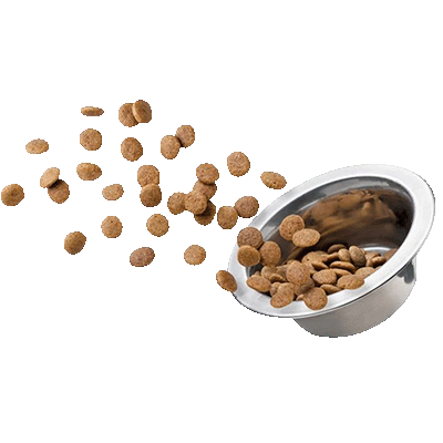 Корма для животных